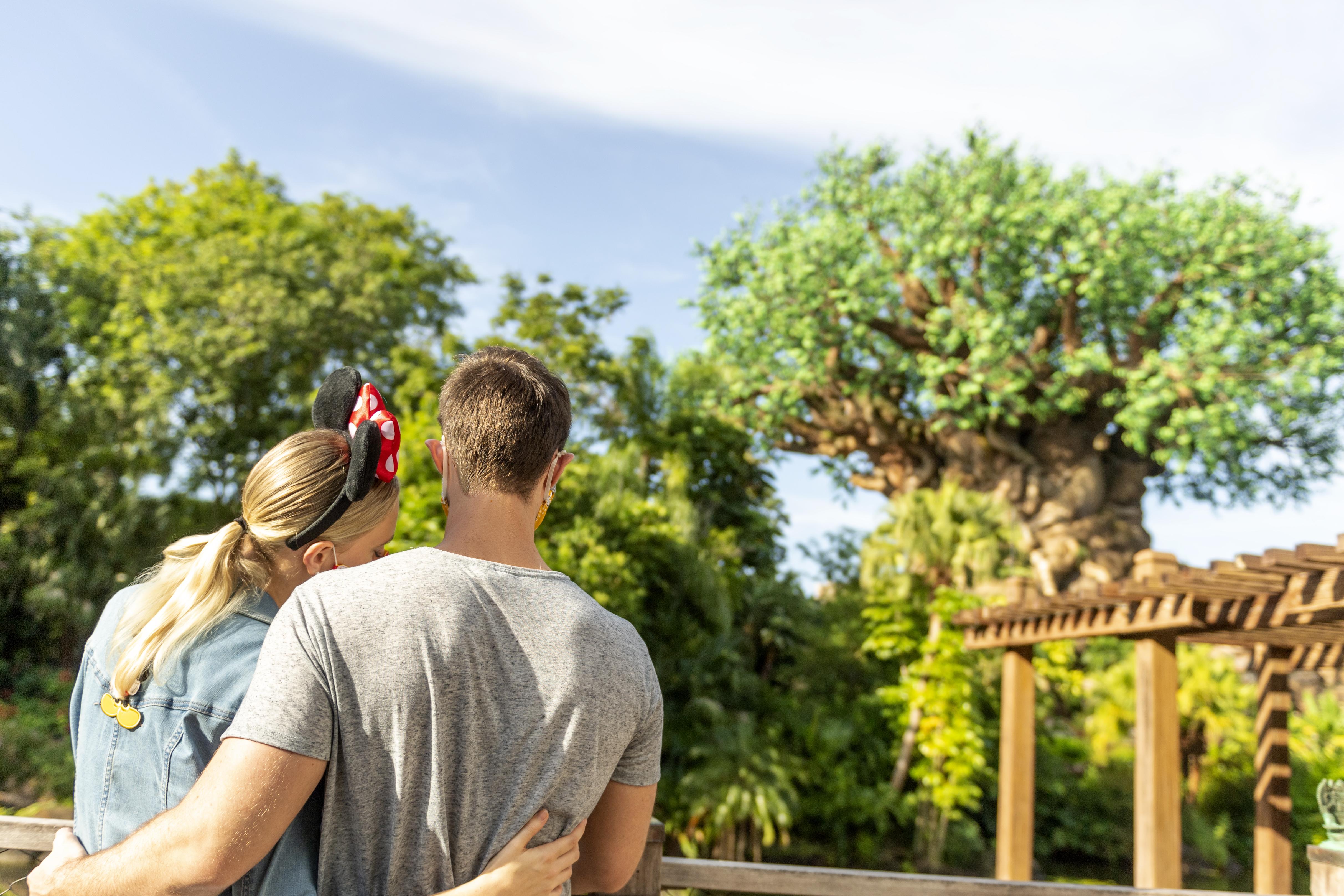 Disney'S Animal Kingdom Lodge Four Corners Екстер'єр фото