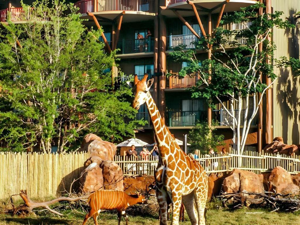 Disney'S Animal Kingdom Lodge Four Corners Екстер'єр фото