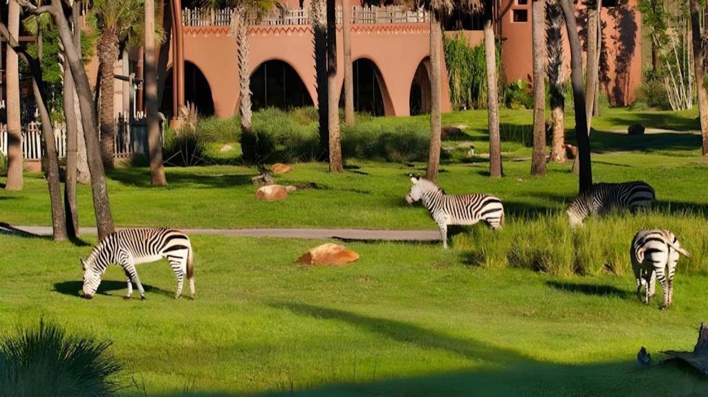Disney'S Animal Kingdom Lodge Four Corners Екстер'єр фото